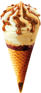 EXTREME SALTED CARAMEL x Pz.16 - MOTTA - 0055