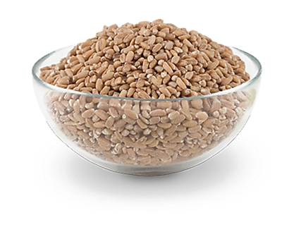 FARRO PERLATO KG. 1 - 12092