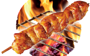 SPIEDONEDI POLLO (GRAN BROCHETTE) GR. 100 X 15 - SADIA - 81080